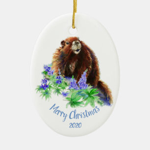 Ornamento De Cerâmica Marmot de Natal Datado Personalizado, Groundhog An