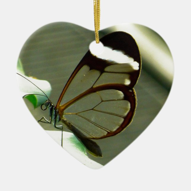 Ornamento De Cerâmica Marrom atordoante e borboleta translúcida (Frente)