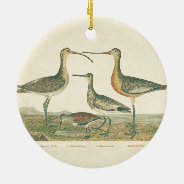 Ornamento De Cerâmica Marsh Bird Curlew Snipe Birding (Traseira)