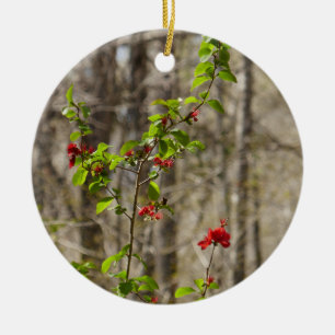 Ornamento De Cerâmica Mato de Azaléia Selvagem nas Montanhas Smoky