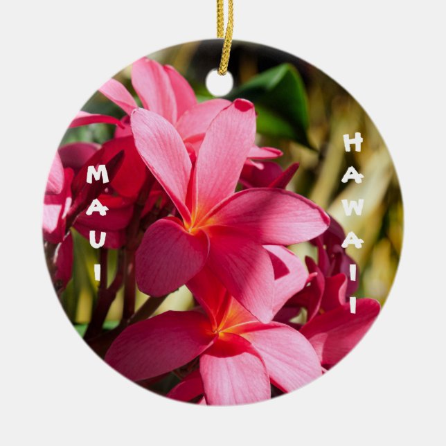 Ornamento De Cerâmica Maui, Flores de Plumeria em Rosa e Branco (Frente)