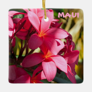 Ornamento De Cerâmica Maui, Flores de Plumeria em Rosa e Branco