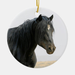 Ornamento De Cerâmica McCullough Peaks Corrente de Jato de Cavalo Selvag