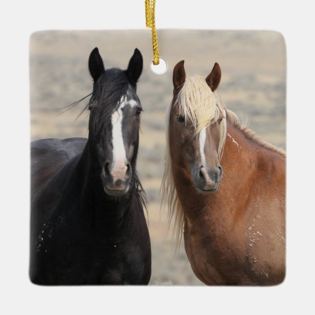 Ornamento De Cerâmica McCullough Peaks Ornament Cerâmico de Cavalos Selv (Frente)