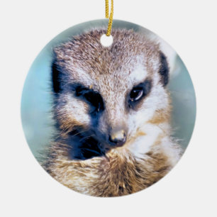 ORNAMENTO DE CERÂMICA MEERKAT