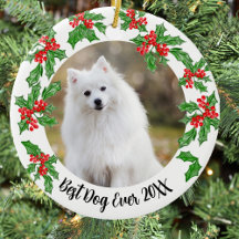 Melhor Cachorro de Todos os Tempos Natal Presente