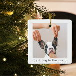 Ornamento De Cerâmica Melhor Cão Do Mundo | Foto de cão<br><div class="desc">Melhor Cão Do Mundo | Foto de cão</div>