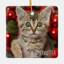 Ornamento De Cerâmica Melhor Gatinho de Gato de Imagem Personalizado + F