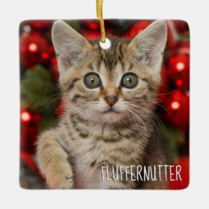 Ornamento De Cerâmica Melhor Gatinho de Gato de Imagem Personalizado + F