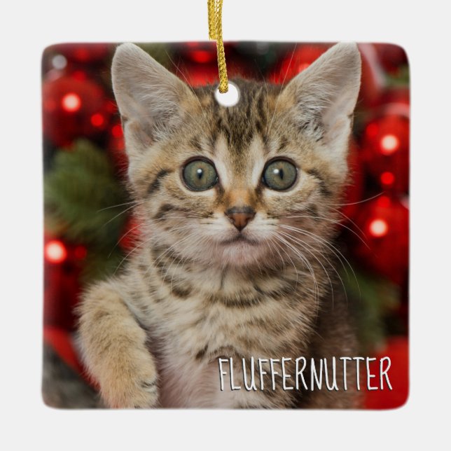 Ornamento De Cerâmica Melhor Gatinho de Gato de Imagem Personalizado + F (Frente)