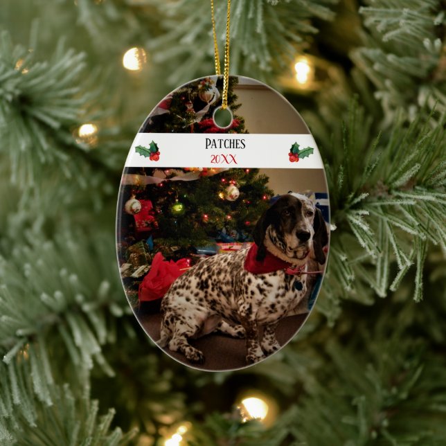 Ornamento De Cerâmica Melhor Modelo de Fotografia de Pet de Natal (Árvore)