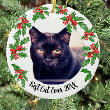 Melhor Natal de Gato ou Memorial de Animal de Esti