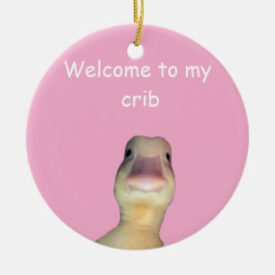 Ornamento De Cerâmica Meme de Pato Engraçado – “Bem-vindo ao Meu Quarto”