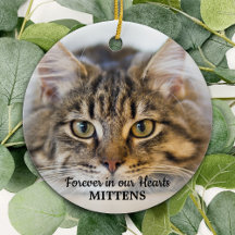 Memorial De Foto Do Gato Do Nosso Coração
