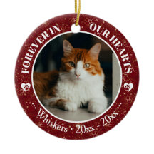Memorial de Foto e Nome de Gato para Sempre em Nos