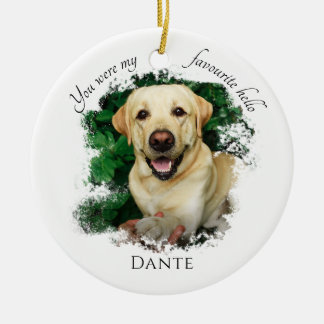 Ornamento De Cerâmica Memorial De Pet Personalizado Você Foi Meu Alô Fav