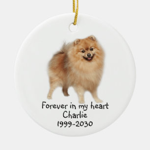 Ornamento De Cerâmica Memorial Keepsasakue Cão Pet Animal Cerâmica Ornam