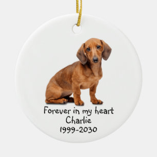 Ornamento De Cerâmica Memorial Keepsasakue Cão Pet Animal Cerâmica Ornam