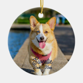 Ornamento De Cerâmica Memorial Personalizado Personalizado de Gato Cacho