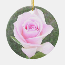 Ornamento De Cerâmica Memorial Rosa Rosa Rosa Rosa Rosa Cor-de-Rosa- 2