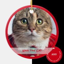 Merry Christmas from Family Cat