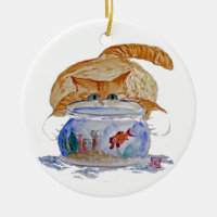 Meu Fishbowl, gatinho do tigre dos Meows