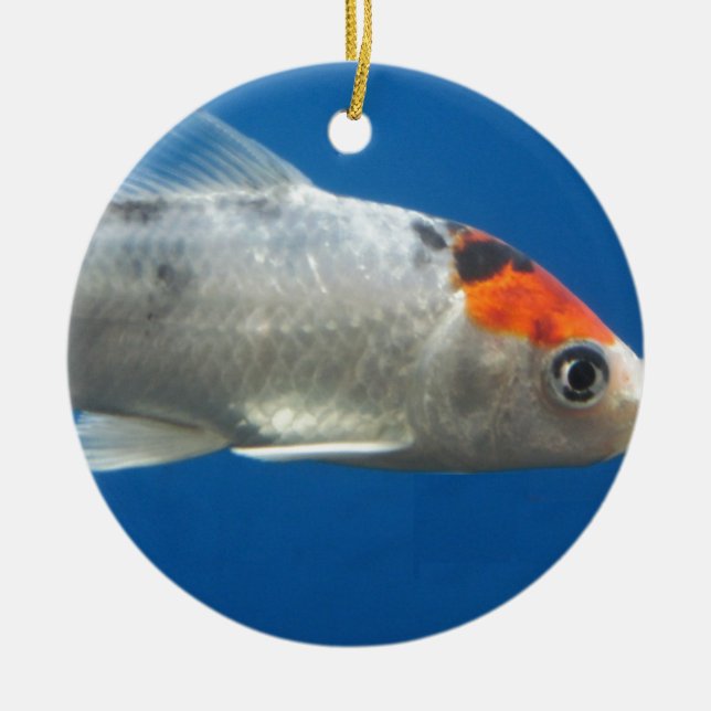 Ornamento De Cerâmica Meu Peixe de Peixe Koi (Frente)