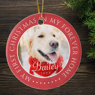 Ornamento De Cerâmica Meu Primeiro Natal para sempre - Foto Moderna de P