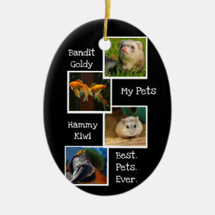 Ornamento De Cerâmica Meus Pets Colagem de Fotos Melhores Pets Já Divert