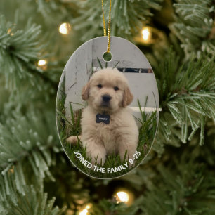 Ornamento De Cerâmica Minha Foto de Natal do Cachorro