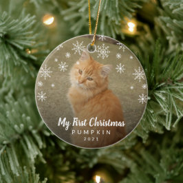 Ornamento De Cerâmica Minha primeira foto de gato com flocos de neve de