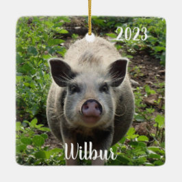 Ornamento De Cerâmica Mini Juliana Pet Pig Personalizado #2