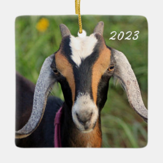 Ornamento De Cerâmica Mini Nubian Dairy Goat Kid