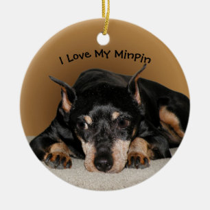 Ornamento De Cerâmica Miniature Pinscher aka Min Pin with Pet Name