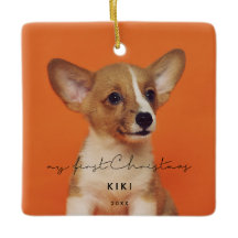 Minimalista A Foto Do Meu Primeiro Natal Pet