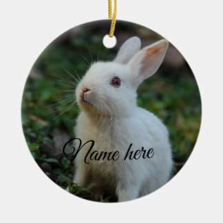 Ornamento De Cerâmica Modelo de foto de nome de animal de estimação simp