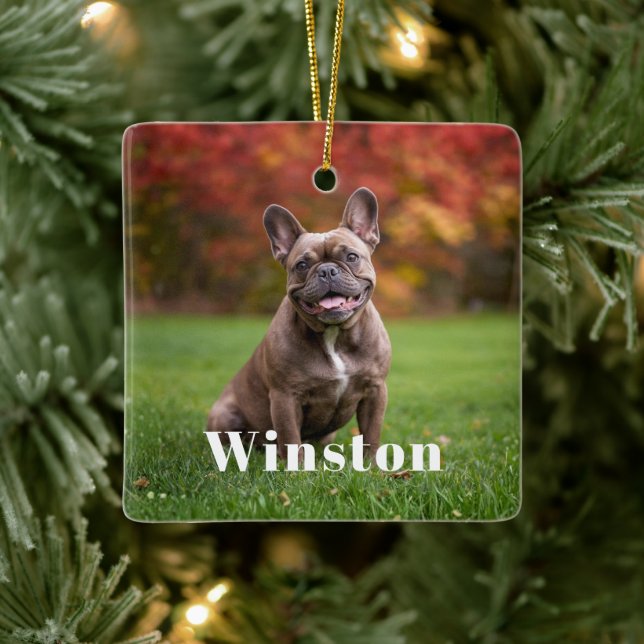 Ornamento De Cerâmica Modern Custom Pet Name Photo Holiday (Árvore)
