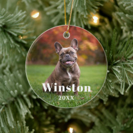 Ornamento De Cerâmica Modern Custom Pet Name Year Photo Holiday