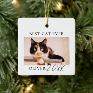 Ornamento De Cerâmica Moderno Minimalista Personalizado Melhor Gato de T
