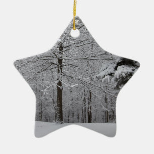 Ornamento De Cerâmica Modo de Exibição de Woods