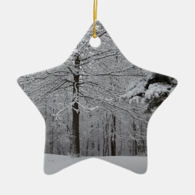 Ornamento De Cerâmica Modo de Exibição de Woods (Frente)