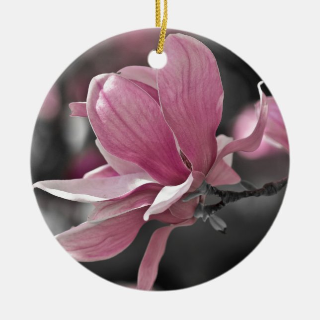 Ornamento De Cerâmica Molho Rosa Japonês Magnolia (Frente)