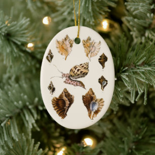 Ornamento De Cerâmica Moluscos e Caracóis, Organismos Marinhos Antigos