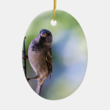 Momento de Reserva para Mim