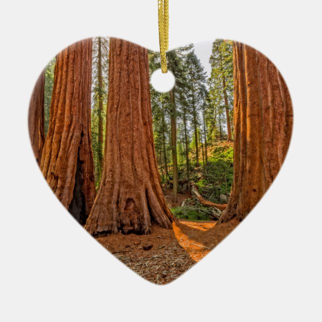 Ornamento De Cerâmica Monarca da floresta (Frente)