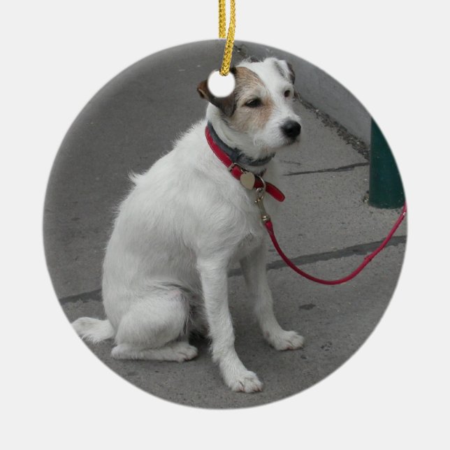 Ornamento De Cerâmica Mongrel Branco Doce (Frente)