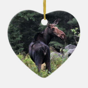 Ornamento De Cerâmica Moose de Vaca