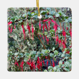 Ornamento De Cerâmica Morango-frade (Ribes especiosum)