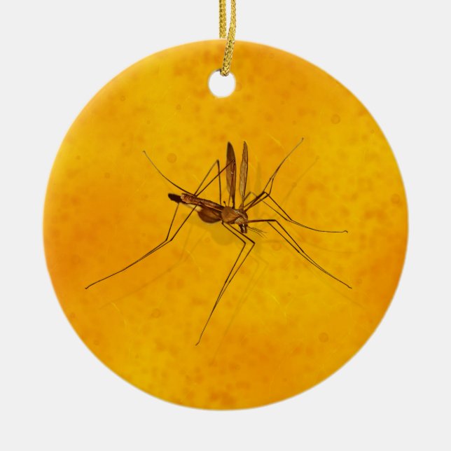 Ornamento De Cerâmica Mosquito na Réplica Fóssil Amber Sap Pré-histórica (Frente)