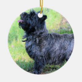 Ornamento De Cerâmica Mostra-te